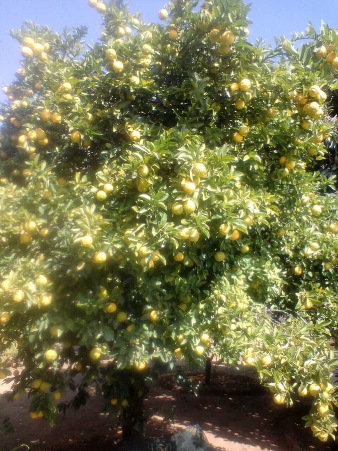 Heila'S In House Family Room-Homestay! Bloemfontein Bagian luar foto